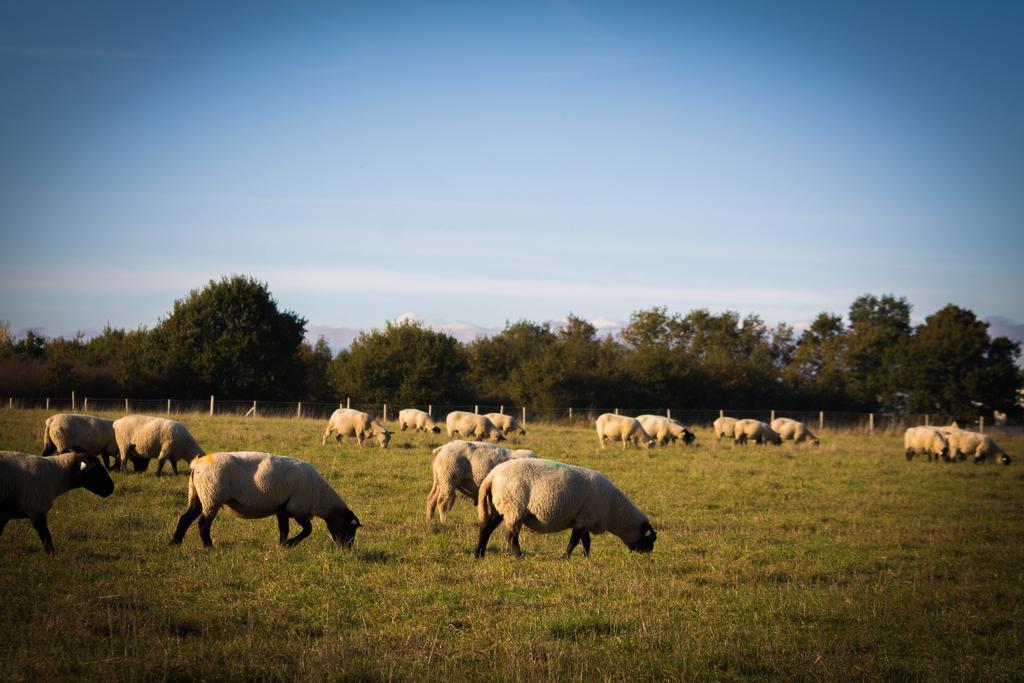 La Ferme Du Vincin Bed and Breakfast Βαν Εξωτερικό φωτογραφία