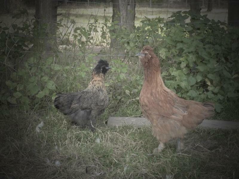 La Ferme Du Vincin Bed and Breakfast Βαν Εξωτερικό φωτογραφία