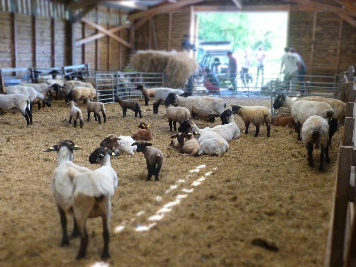 La Ferme Du Vincin Bed and Breakfast Βαν Εξωτερικό φωτογραφία